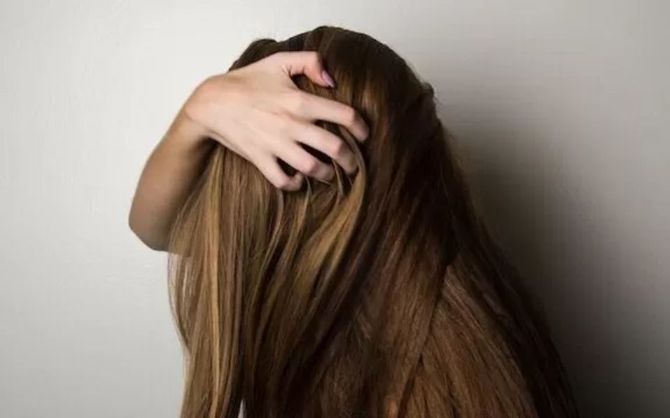 Dry Damaged Hair Repair at Holborns Best Hair Salon